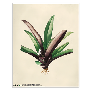 AIRTEC Air Wall Air Fresh 聚酯纖維壁貼海報, 50 x 40cm, 不適用