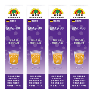 SUNLIFE 森萊富 維他命鎂Mg+B6 橘子口味, 20顆, 80g, 4盒