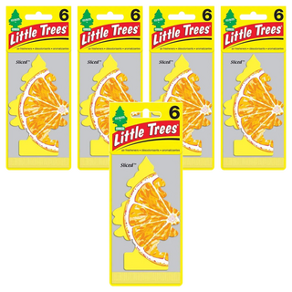Little Trees 小樹 香片 沁橘, 時尚可愛造型 持久自然香味, 7g, 5片