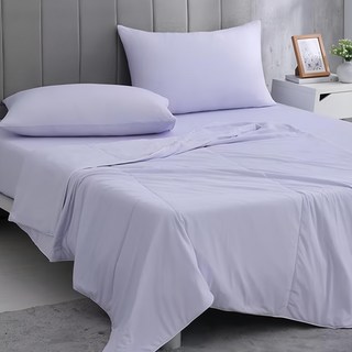 Ishur 伊舒爾 冰感S級冰科技親膚柔滑冰凍被 雪青紫, 200 x 150cm