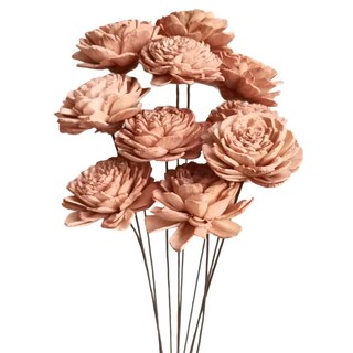 索拉花 4cm 焦糖色 + 藤條花 + 枝條 10入, 1組