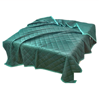 Annabelle 石墨烯水洗抗菌冰絲涼被, 涼感面料, 親膚好睡, 200 x 150cm, 高貴綠