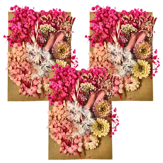 A-ONE 匯旺乾燥花 C06 粉紅少女 3入