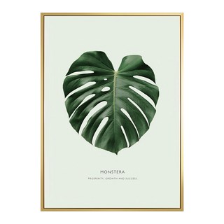 龜背竹MONSTERA 裝飾畫, 金色