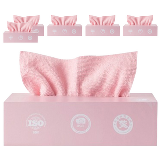 WE CHAMP 抽取式抹布 乾濕兩用 超細纖維布, 20 x 20cm, 6盒