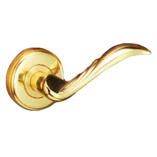 WACH 花旗門鎖 羽毛型 下座水平單把手 輔助鎖 鋅合金材質, 金色, 1個