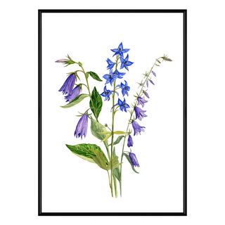 風鈴草花束, 40 x 30cm, 黑色