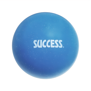 SUCCESS 成功 高彈靜音球 7吋（直徑約18cm）室內/室外 適用年齡：三歲以上, 藍色, 1個