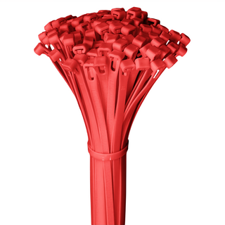 POLYWELL 可鬆式束線帶 5x300 PW15-T65-0086 100條, 紅色