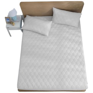 Ishur 伊舒爾 3M石墨烯防潑水保潔墊 100% Polyester 台灣製造