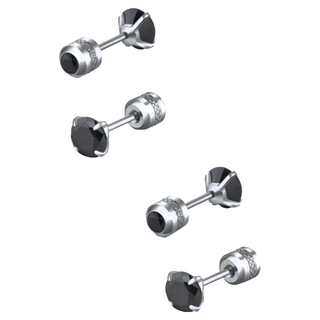 耀眼美人 閃耀雙鋯石鑽醫療鋼不鏽鋼耳環 兩個組, 優雅黑