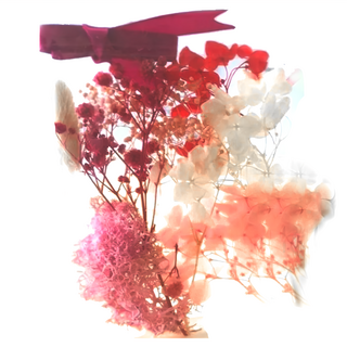 A-ONE 匯旺 浮游花DIY花材包 Set, 天然植物乾燥花, 多種規格, H43 戀愛之吻 彩色