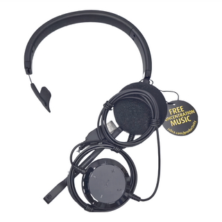 Jabra 商務會議耳機麥克風, Evolve 20 MS Mono, 黑色