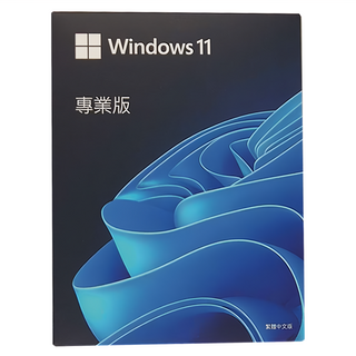 Microsoft 微軟 Windows 11 專業中文版, X22-95530-01