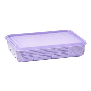 Thx Soyoon 冷凍密封保鮮盒 7號 透紫色 600ml 10個 冰箱收納, 1組