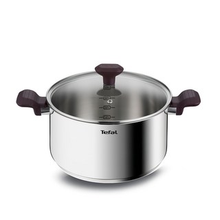 Tefal 特福 Tasty Cook系列 IH雙耳湯鍋, 24cm, 1組