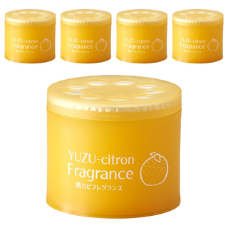 AIMEDIA 艾美迪雅 防黴菌芳香劑, 柚子, 85g, 5罐