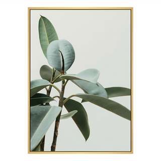 生氣蓬勃 植物畫作, 木色