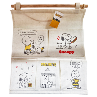 SNOOPY 史努比 五格信插 二大三小格 231361, 款式隨機