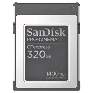 SanDisk 晟碟 PRO-CINEMA CFexpress Type B 記憶卡, 320GB, 1個