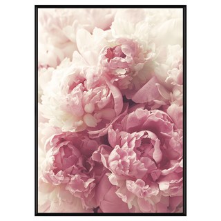 Boluo 菠蘿選畫所 凝香瓣舞 BFFB4607B 59.4 x 42cm 畫框 優雅居家裝飾, 黑色