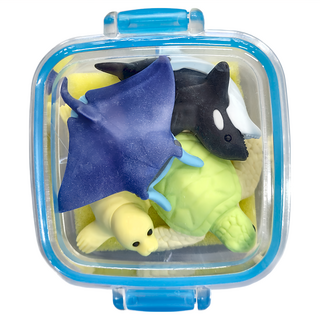 Iwako BOX橡皮擦組, 海洋 款式隨機, 1組