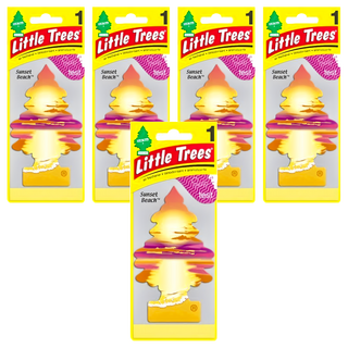 Little Trees 小樹香片 麝香海岸, 安全無害, 適合車內/家庭/辦公室, 香氣持久清新, 7g, 5片