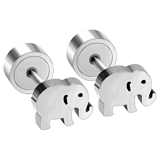 耀眼美人 微觀現象醫療鋼鈦剛鎖式耳環, Silver