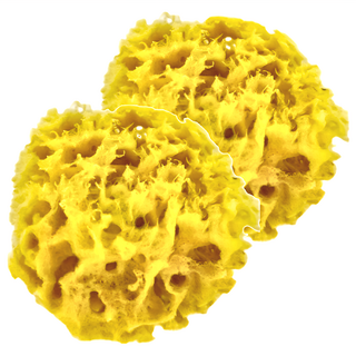 lilmon 希臘海綿 Set 2 尺寸約6.5~8cm, 蜂巢型, 2個