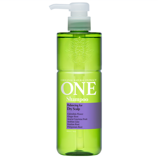 ONE 保濕平衡洗髮精 適用於乾燥頭皮 含金盞花 生薑根, 480ml, 1瓶