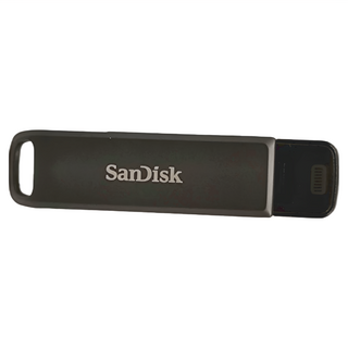 SanDisk 晟碟 iXpand Flash Drive Luxe 雙用隨身碟 SDIX70N, 256GB, 1個
