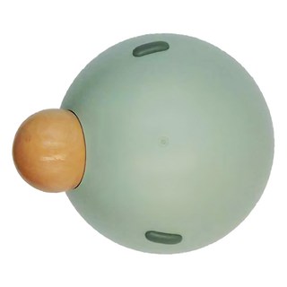 半島良品 大鼻子多功能料理機, 淺綠, 1個