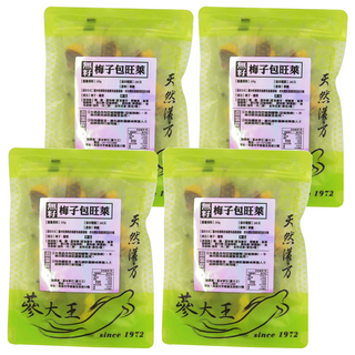 蔘大王 無籽梅子包旺萊 酸甜爽口 軟糯肉Q 營養零嘴, 100g, 4袋