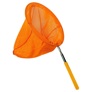 不鏽鋼伸縮蝴蝶網 捕蟲網 抓蟲網 網子 顏色隨機, 1個