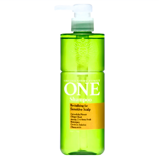 ONE 染燙受損洗髮精，適用於敏感頭皮, 480ml, 1瓶