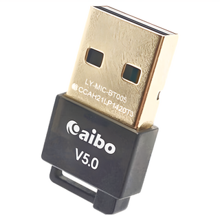 aibo USB 藍芽V5.0傳輸器 體積小好攜帶, 1個, LY-MIC-BT005, N/A