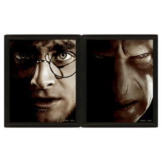 Harry Potter 哈利波特 3D海報 含框 28.3 x 23.2cm