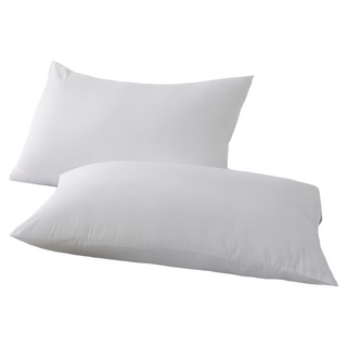 Ishur 伊舒爾 3m吸濕排汗水洗枕 2入組, 白色, 1組