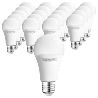 TATUNG 大同 LED燈泡 12W E27, 白光, 20個