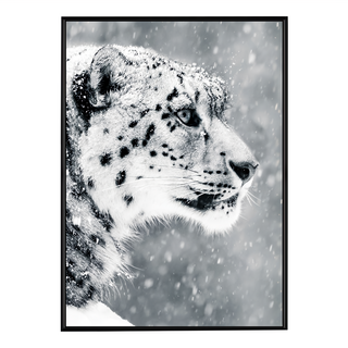 堅持 雪豹 藝術牆面裝飾畫, 黑色