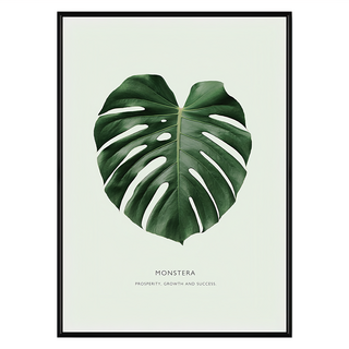 欣欣向榮 龜背竹, 42 x 59.4cm, 黑色