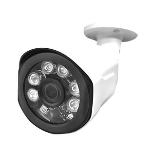 Transitions 全視線 監控攝影機 TS-SV201B, 2百萬像素晶片 6顆大功率陣列紅外線LED, 1台