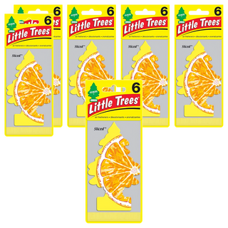 Little Trees 小樹 香片 沁橘, 時尚可愛造型 持久自然香味, 7g, 6片