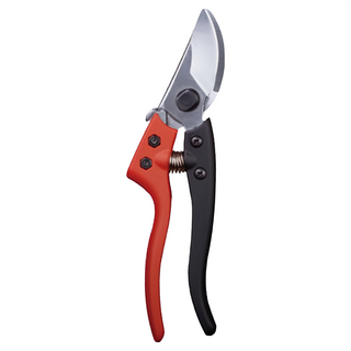 HOKAS 專業修枝剪, 1個