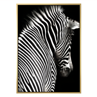 斑馬II 金色 附框畫, 59.4 x 42cm