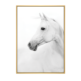 白馬畫作 實木內框PS進口外框 高密度防潮防蟲防蛀畫布, 木色
