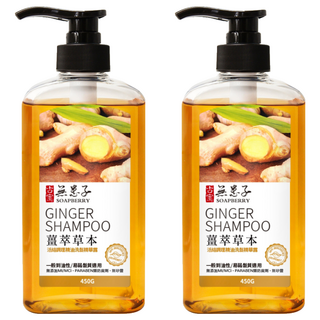SOAPBERRY 古寶無患子 活絡調理洗髮精華露 薑萃草本, 450g, 2瓶