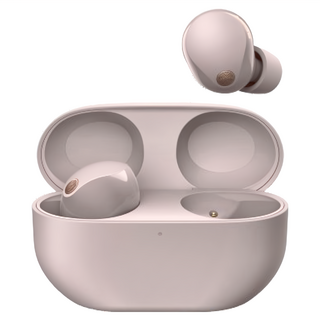 Sony 真無線藍芽耳機, WF-1000XM5, 玫瑰灰色 P, 玫瑰灰