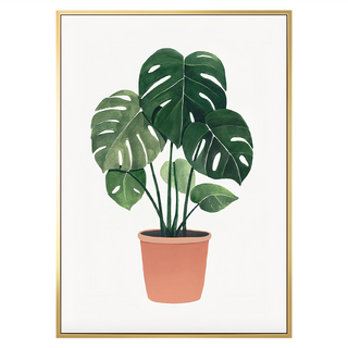 盆栽意趣 龜背芋 金色, 50 x 70cm