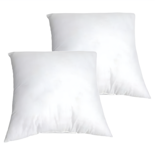 KUIBAO 快豹生活 Leetov現代簡約抱枕枕芯 台灣製 2個, 白色, 50 x 50cm